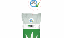 DLF Select, when seed purity matters